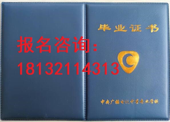 電大中?？荚囋趺崔k