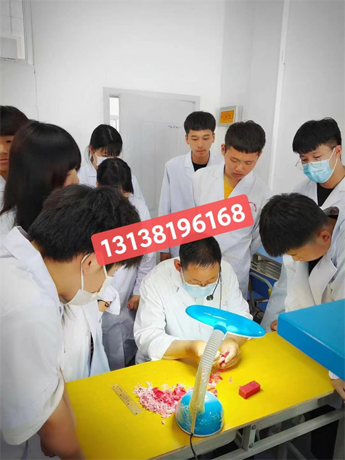 石家莊白求恩醫(yī)學院升學對口高考和單招有什么區(qū)別？