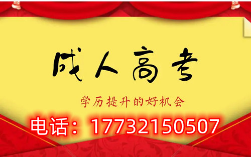 干貨！備考必讀，成考不踩雷！