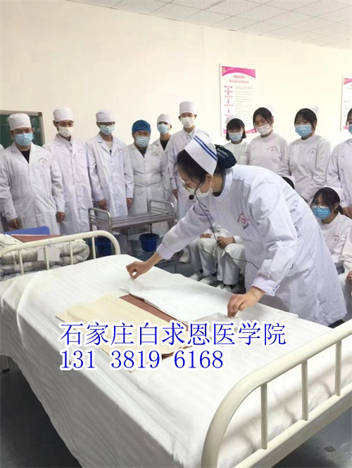 河北對(duì)口高考和對(duì)口單招有什么不同？