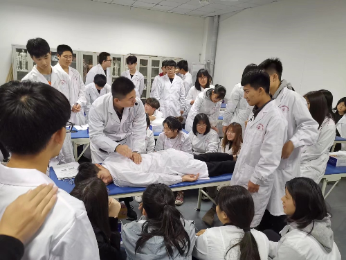 石家莊冀聯(lián)醫(yī)學中專學校中醫(yī)專業(yè)升學可以考哪些學校？