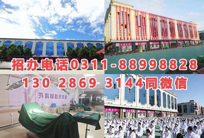 石家莊天使護(hù)士學(xué)校2026年招生分?jǐn)?shù)線是多少？